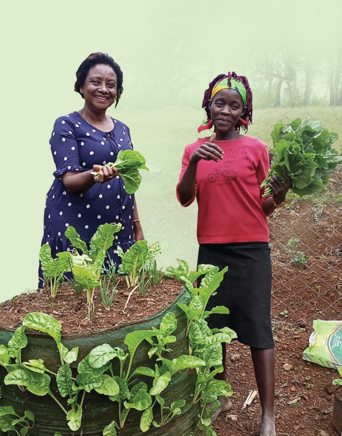 Eveline and her daughter harvest greens from their Garden Tower