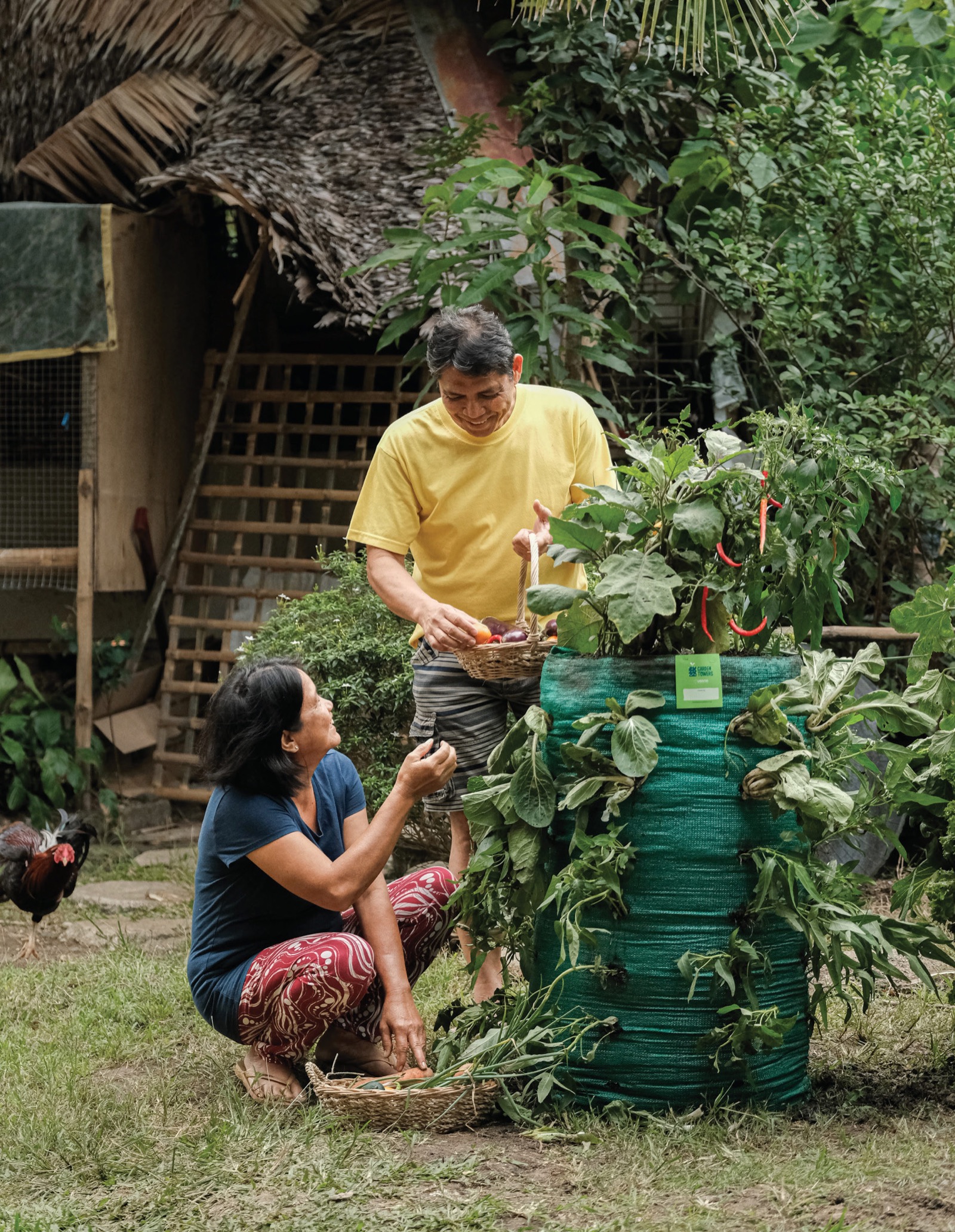 A family tends their Garden Tower outside their home