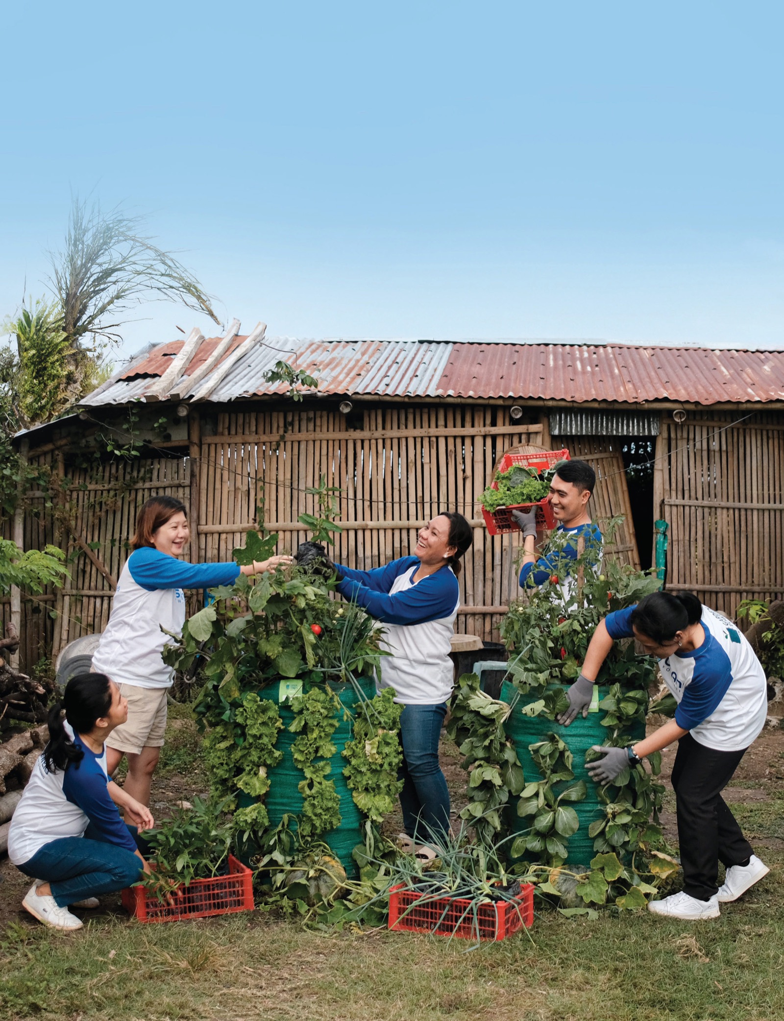 USANA Brand Partners plant a Garden Tower garden in Iloilo