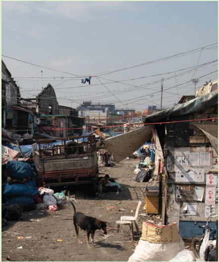 A crowded neighborhood with makeshift homes
