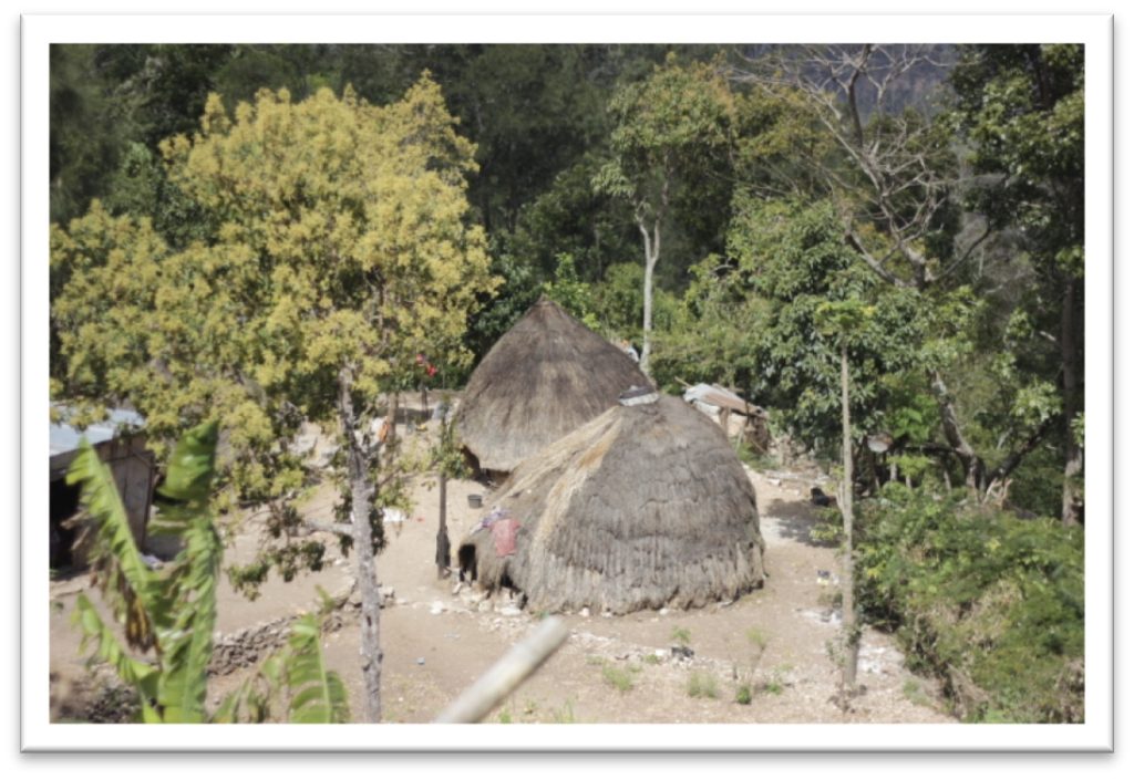 two huts in the middle of a forested area