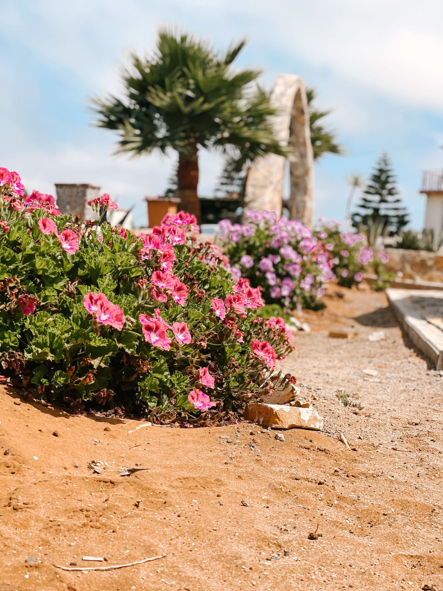 Where Hope is Grown USANA Foundation