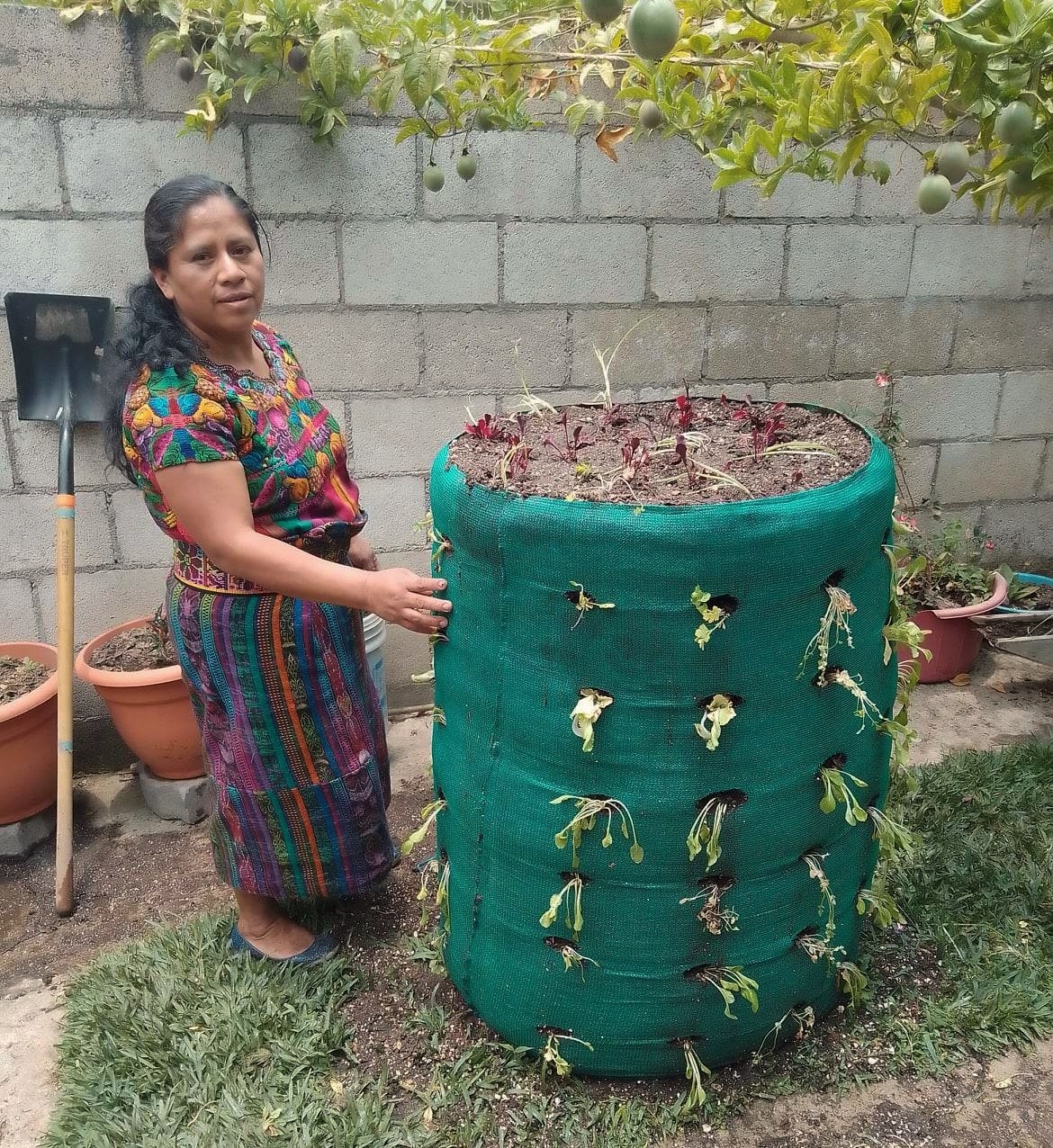 How USANA Foundation Garden Towers Change Lives in Guatemala