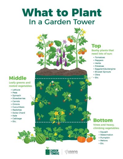 693717 - EN - Garden Tower Planting Chart - Infographic_Page_1